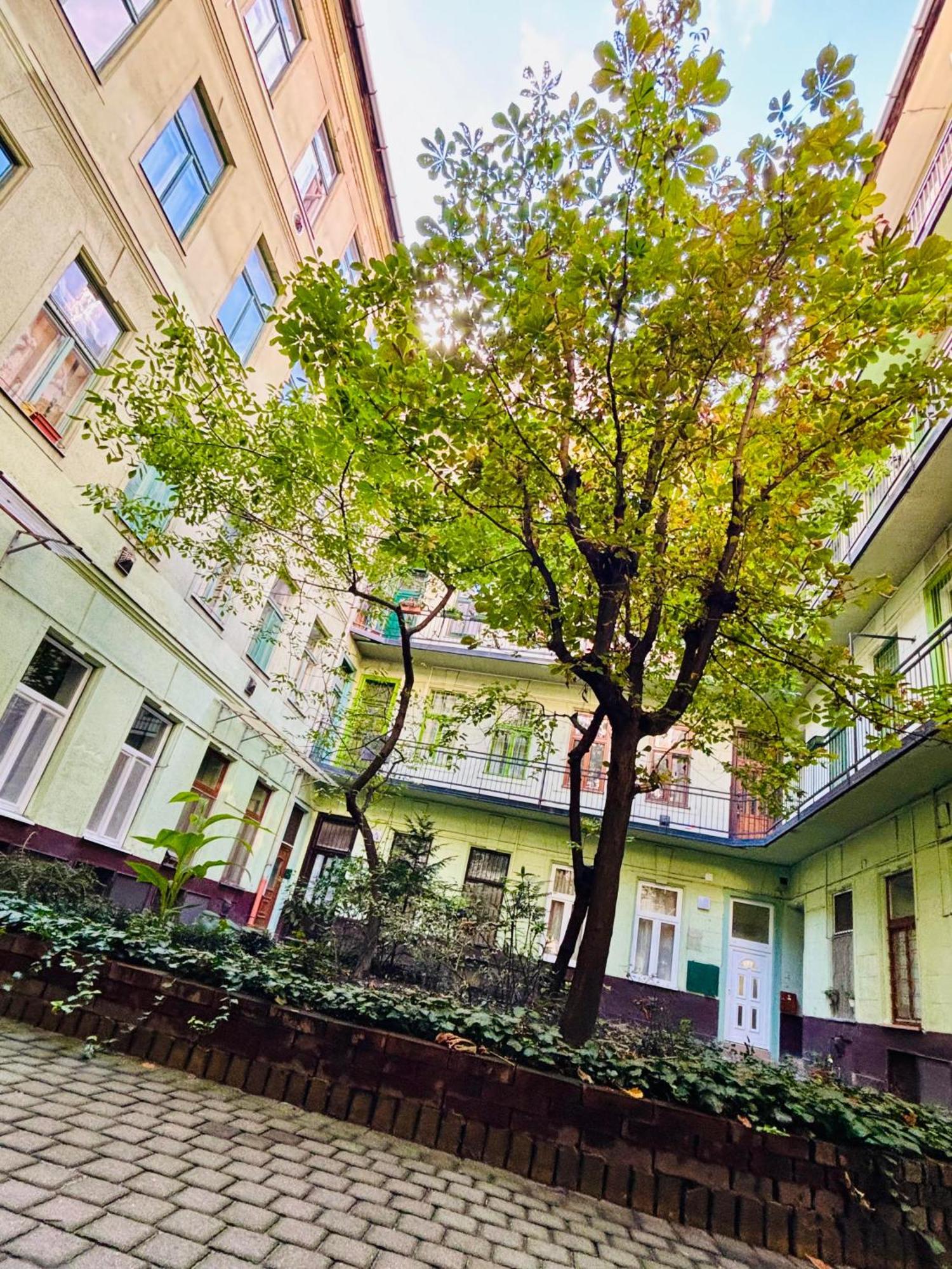 Ava Central Residence Budapest Kültér fotó